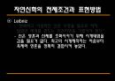 [과학과 종교A+] 자연신학 소개와 발전, 전제조건과 표현방법 및 다윈이론의 도전 고찰 22페이지