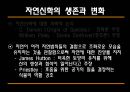 [과학과 종교A+] 자연신학 소개와 발전, 전제조건과 표현방법 및 다윈이론의 도전 고찰 31페이지