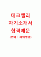[테크밸리자기소개서]테크밸리자소서+[면접예상문제]_테크밸리공채자기소개서_테크밸리채용자소서_테크밸리합격자기소개서 1페이지