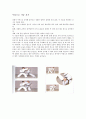  레포트의 결정판  25페이지