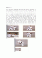  레포트의 결정판  29페이지