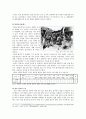 위안부 7페이지