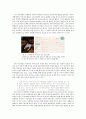  (연구 목적, 과제, 방법 및 대상, 부산대학교 학생들의 일상 속 커뮤니티) 9페이지
