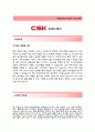 [씨에스케이자기소개서]씨에스케이자소서+[면접기출]_CSK공채자기소개서_CSK채용자소서 2페이지