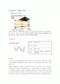 현대카드 기업분석과 마케팅 SWOT,STP,4P 전략분석 및 현대카드 경쟁사분석(롯데,삼성카드)과 향후전략 12페이지
