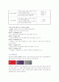 현대카드 기업분석과 마케팅 SWOT,STP,4P 전략분석 및 현대카드 경쟁사분석(롯데,삼성카드)과 향후전략 21페이지