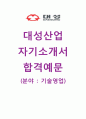 [대성산업 자기소개서] 대성산업 자소서+[면접기출]_대성산업공채자기소개서_대성산업채용자소서_대성산업기술영업자기소개서_대성산업합격자소서 1페이지