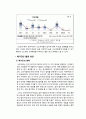 삼성카드 기업전략분석과 삼성카드 SWOT분석과 삼성카드 경쟁사(현대카드)분석과 삼성카드 위기극복위한 마케팅전략 제안 22페이지