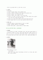 교육의 철학적 기초  11페이지