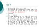 언어의 이해 - 언어의 소리: 음성학  11페이지