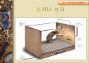행동주의 학습이론  17페이지