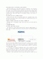 비정규직 파업 사례 11페이지