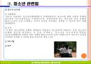 청소년관련법과 행정체계 26페이지