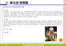 청소년관련법과 행정체계 27페이지