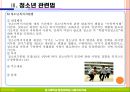 청소년관련법과 행정체계 28페이지