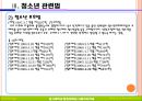 청소년관련법과 행정체계 31페이지