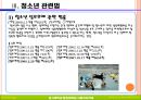 청소년관련법과 행정체계 32페이지