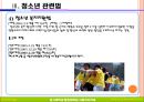 청소년관련법과 행정체계 33페이지