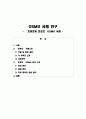 OSMU 사례 연구 1페이지