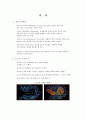 효소 조사 1페이지