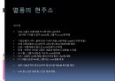 고졸 채용 열풍 - 고졸채용열풍,고졸채용원인,고졸채용현주소.고졸채용쟁점.PPT자료 5페이지