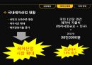 국내레져산업,레져시장,테마파크 6페이지