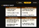국내레져산업,레져시장,테마파크 7페이지