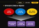국내레져산업,레져시장,테마파크 12페이지