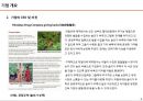 [경영학원론] 친환경 화장품 브랜드 ‘히말라야’ 사업설명 및 기업비전 성과, 비즈니스 모델 분석, 사회적공헌 분석.pptx 9페이지