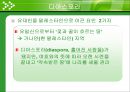 이스라엘 국가의 형성 [디아스포라][시오니즘][서구 열강의 도움밸푸어 선언][유엔의 방조와 지원][점령 과정][추방과 이주][아랍인들의 저항과 영국의 탄압][영국제국과의 갈등][UN의 분할안].ppt 4페이지