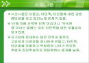 이스라엘 국가의 형성 [디아스포라][시오니즘][서구 열강의 도움밸푸어 선언][유엔의 방조와 지원][점령 과정][추방과 이주][아랍인들의 저항과 영국의 탄압][영국제국과의 갈등][UN의 분할안].ppt 12페이지