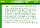 이스라엘 국가의 형성 [디아스포라][시오니즘][서구 열강의 도움밸푸어 선언][유엔의 방조와 지원][점령 과정][추방과 이주][아랍인들의 저항과 영국의 탄압][영국제국과의 갈등][UN의 분할안].ppt 15페이지