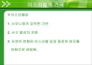 이스라엘 국가의 형성 [디아스포라][시오니즘][서구 열강의 도움밸푸어 선언][유엔의 방조와 지원][점령 과정][추방과 이주][아랍인들의 저항과 영국의 탄압][영국제국과의 갈등][UN의 분할안].ppt 16페이지