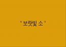 백세주 광고 캠페인 사례발표자료.PPT자료 3페이지