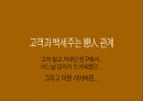 백세주 광고 캠페인 사례발표자료.PPT자료 22페이지