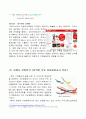 에어아시아 AirAsia 마케팅 SWOT, STP, 4P전략분석과 에어아시아 차별화전략분석과 에어아시아 성공요인분석 - 에어아시아 12페이지