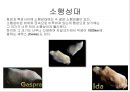 우리의 태양계.ppt 7페이지