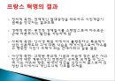 프랑스 대혁명  10페이지