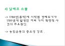 프랑스 대혁명  18페이지