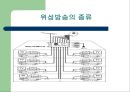 위성 방송  8페이지