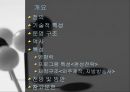 지상파 방송  3페이지