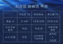지상파 방송  10페이지