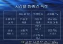 지상파 방송  11페이지