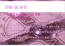 지상파 방송  20페이지