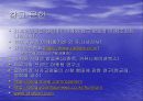 지상파 방송  29페이지