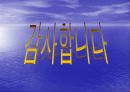 지상파 방송  30페이지
