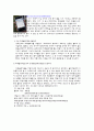 여수, 세계에 알리다 [트위터] 6페이지