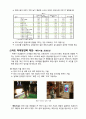 SPAO 스파오 브랜드분석과 브랜드충성도 향상위한 마케팅조사및 마케팅전략제언과 기대효과분석 16페이지
