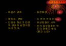 한두 명의 스타, 여섯곡의 노래, 세 개의 춤  10페이지