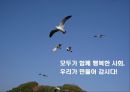 양성평등 50페이지